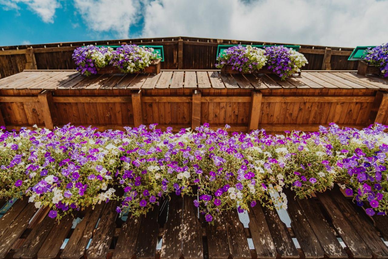 Locanda Montana San Vito di Cadore Dış mekan fotoğraf